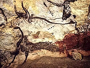 Grotte de Lascaux.