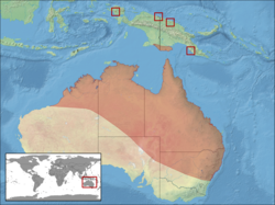 Distribución de Litoria caerulea.