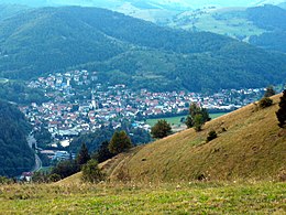 Schönau im Schwarzwald – Veduta