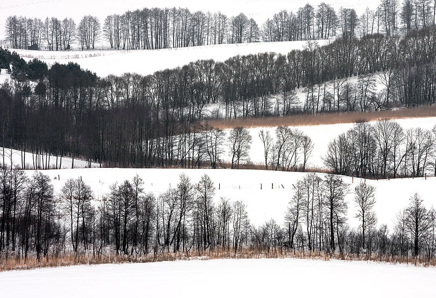 miejsce 1. Suwalski Park Krajobrazowy, okolice Szurpił (fot. Pawel Wojtyczka)