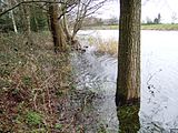 Door een noordwesterstorm opgestuwd water in de Jonkersloot