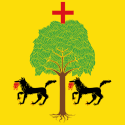 Santa Cruz de la Salceda - Bandera