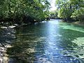 Stream from the springs feeding the Suwannee River