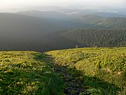 Source of the Moravice is located high in the Hrubý Jeseník Mountains