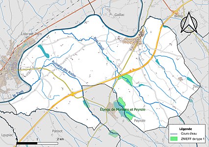 Carte de la ZNIEFF de type 1 sur la commune.