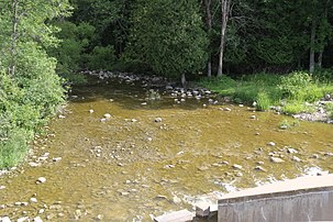 The Ahnapee River below the dam at Forestville