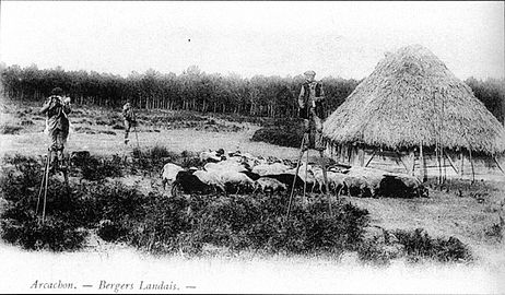 Maesaerien el Landes, a-raok 1900.