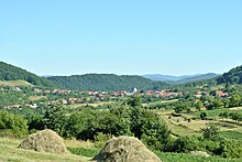 Berzasca, view of the village.jpg