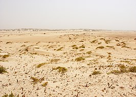 Zicht op duinen/strand