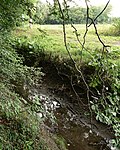 Fösse am Velberholz, im Hintergrund die Wasserstele