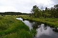 De rivier Leśna Prawa aan de rand van de Wit-Russische plaats Kamenjoeki.