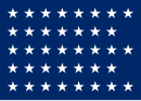 Twenty-first US naval jack, 1877-1890