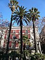 Les palmeres de la plaça del Duc de Medinacel·li, que vaig fotografiar per la llista d'arbres de Barcelona són a en:Plaça del Duc de Medinaceli, i a es:Portal:España, no sé si com a cosa típica.