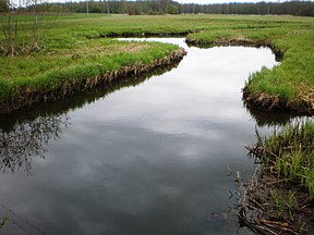 Virinta ties Naujasodžiu