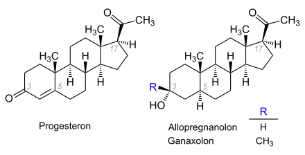 Progesteron, Allopregnanolon, Ganaxolon