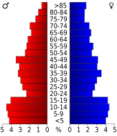 Bevolkingspiramide Floyd County