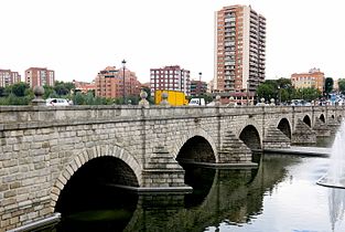 Zubia eta Manzanares ibaia.