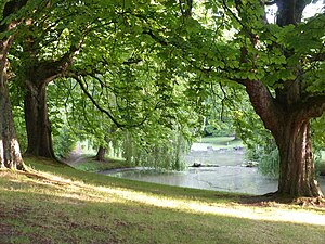 Parc Barbieux.