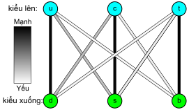 Ba quả cầu "u", "c", và "t" tượng trưng cho "các quark loại - trên" đứng trên ba quả cầu "d", "s", "b" tượng trưng cho "các quark loại - dưới", với sự tối màu biểu thị độ mạnh của tương tác yếu giữa hai quark; Các đường nối "d" với "u", "c" với "s", và "t" với "b" là tối màu; Các đường nối "c" với "d" và "s" với "u" là xám màu; và các đường nối "b" với "u", "b" với "c", "t" với "d", và "t" với "s" hầu như màu trắng.