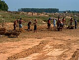 Still in production today, Romania's Danube Delta