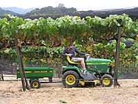 Tracteur vigneron dans une vigne en hautain à Los Altos