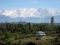 Ansicht auf das Dhauladhar-Bergmassiv