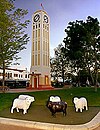 Hastings Town Square.