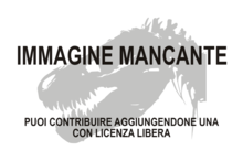 Immagine di Lourinhasaurus alenquerensis mancante