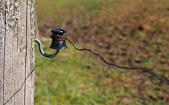 Un isolateur d'un électrificateur de clôture. (définition réelle 4 608 × 2 880)