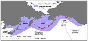 Description de l'image Eumetopias jubatus distribution fr.jpg.