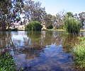 Mitta Mitta River, downstream from Dartmouth Dam, 2007