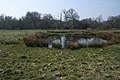 Pingo in open grassland