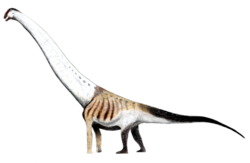 איור אפשרי של אג'יפטוזאורוס