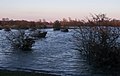 Arnhem-Meinerswijk, el lago del sur desde el lado oeste