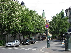 Niels Juels gate
