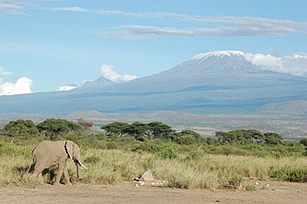 Kilimanjaro