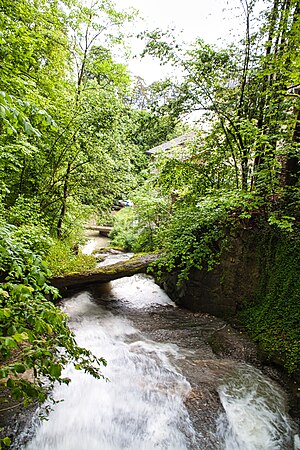 Naturbrücke in der Mülenenschlucht