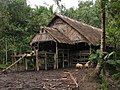 Maison traditionnelle mentawai