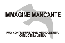 Immagine di Akialoa upupirostris mancante