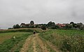 Arromiu qui arriba a Pimbo peu camin de Compostèla.