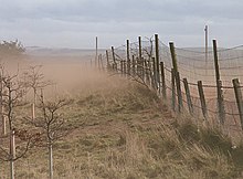 photo d'une prairie en période de sécheresse, poussière soulevée par le vent.