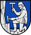 Wappen von Schladming