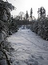 Teilansicht von Norden auf das Plateau des Suterkopf