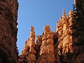 Der Bryce Canyon Hoodoos in Amerika
