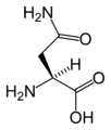 L-asparagin (Asn / N)