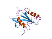 2pld: NUCLEAR MAGNETIC RESONANCE STRUCTURE OF AN SH2 DOMAIN OF PHOSPHOLIPASE C-GAMMA1 COMPLEXED WITH A HIGH AFFINITY BINDING PEPTIDE