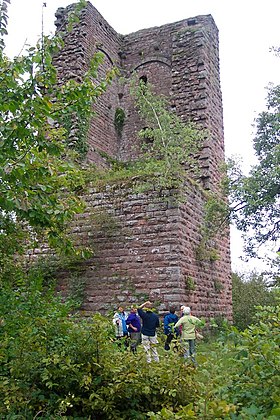 Image illustrative de l’article Château du Grand-Geroldseck