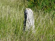 Le menhir de Bargueyrac.