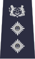Singapore Police Force