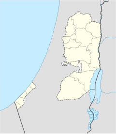 Qumran ligger i Palestina